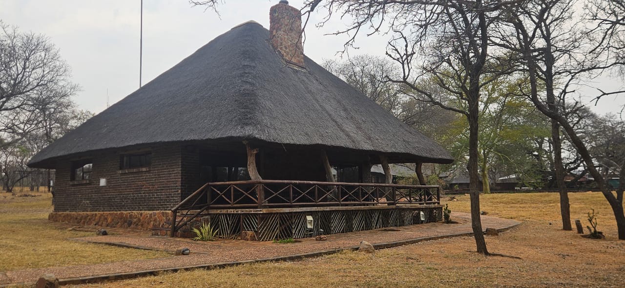 Thatched chalet with a covered wooden veranda among the trees