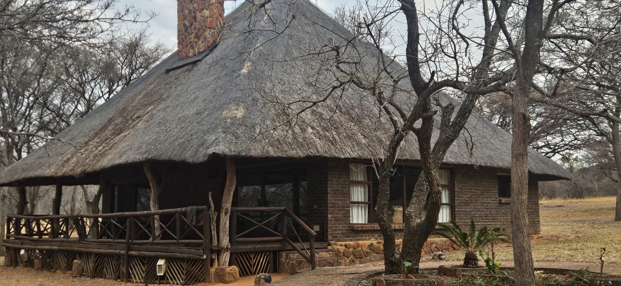Thatched Seringa chalet with a shaded wooden veranda among the trees